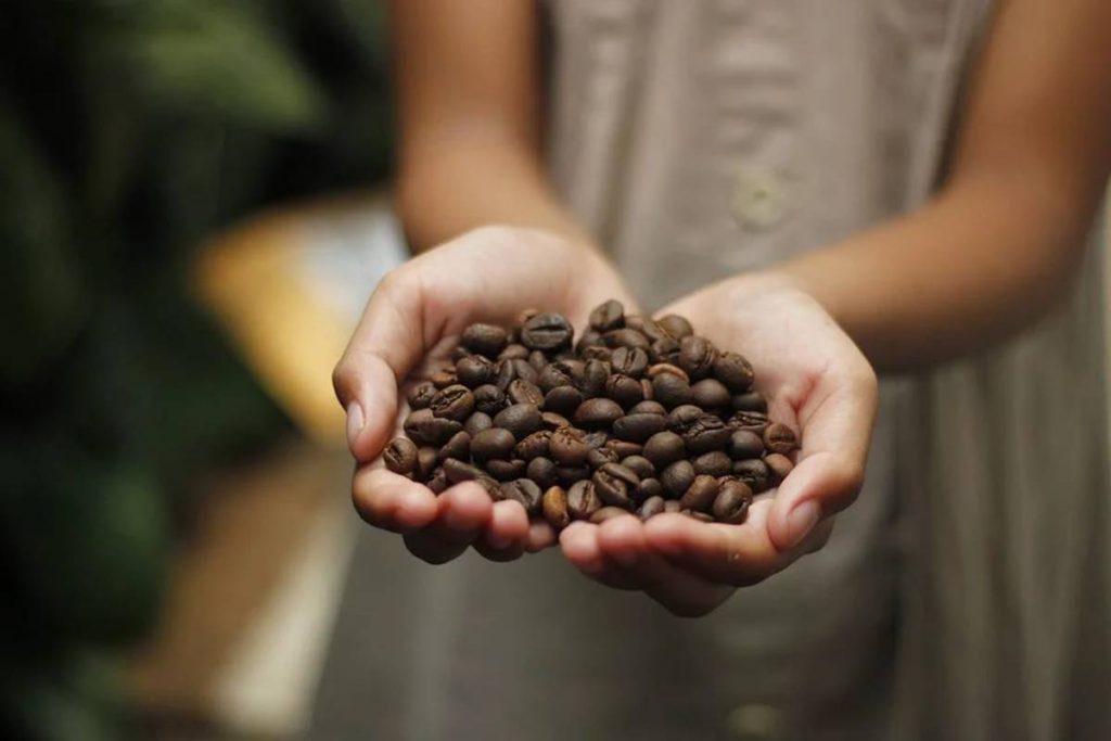 benefícios do café para a saúde