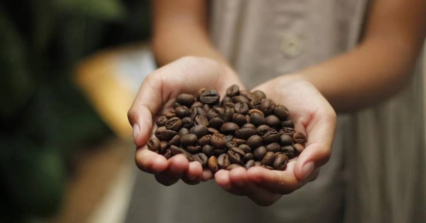 11 benefícios do café para sua saúde