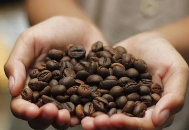 11 benefícios do café para sua saúde